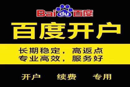 SEM托管服务实战案例：打造高效广告投放策略